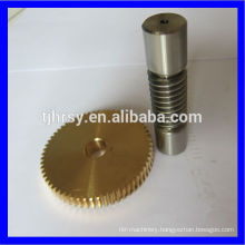 Stainless steel 304 worm shaft
